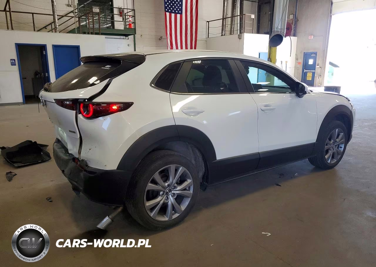 2021 Mazda Cx-30 Preferred VIN:3MVDMBCL0MM315633 - 3