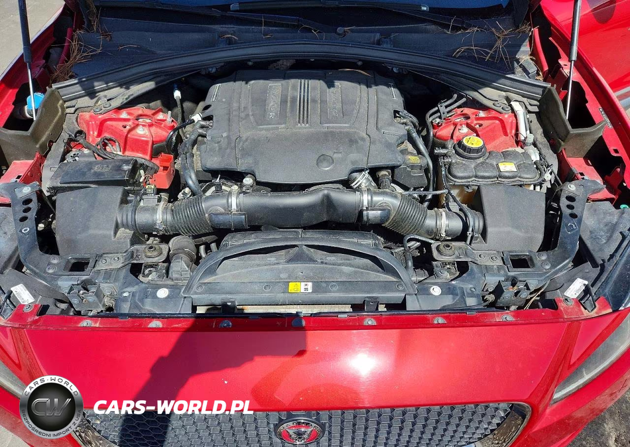 2018 Jaguar F-Pace Premium VIN:SADCJ2EV9JA257300 - 12