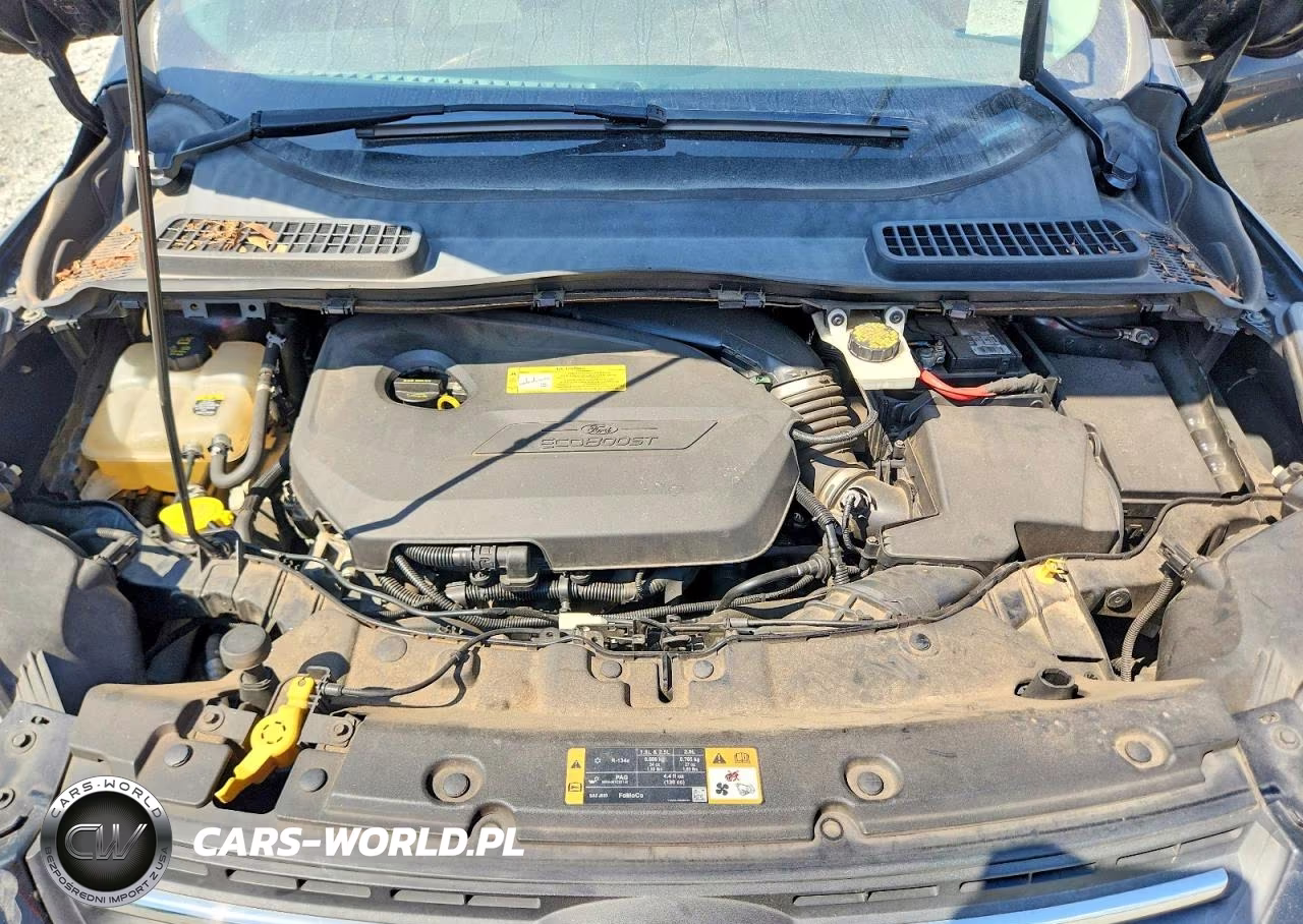 2014 Ford Escape Se VIN:1FMCU0GX8EUB33606 - 11