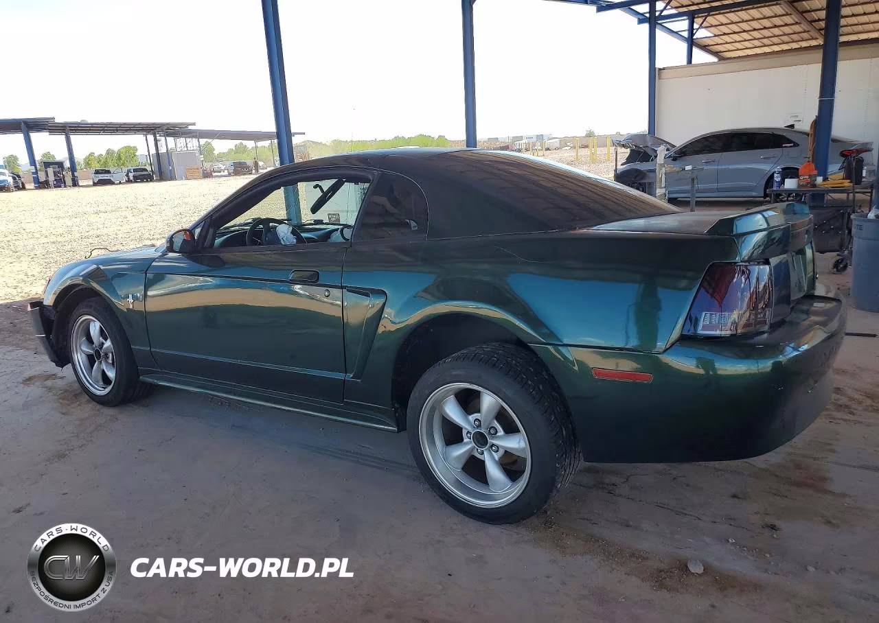 2003 Ford Mustang VIN:1FAFP40423F365027 - 2