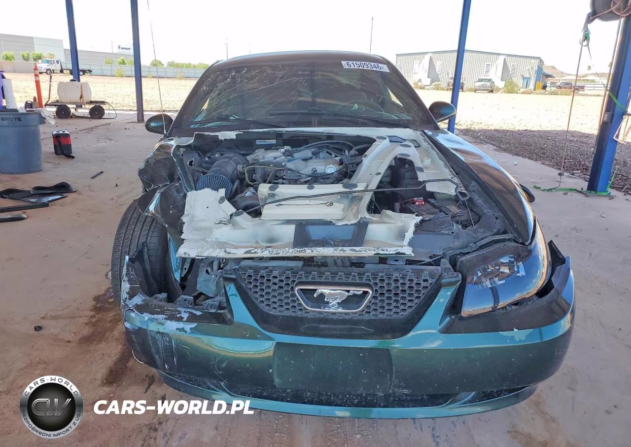 2003 Ford Mustang VIN:1FAFP40423F365027 - 5