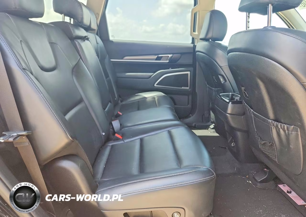 2020 Kia Telluride Lx VIN:5XYP24HC2LG011093 - 11