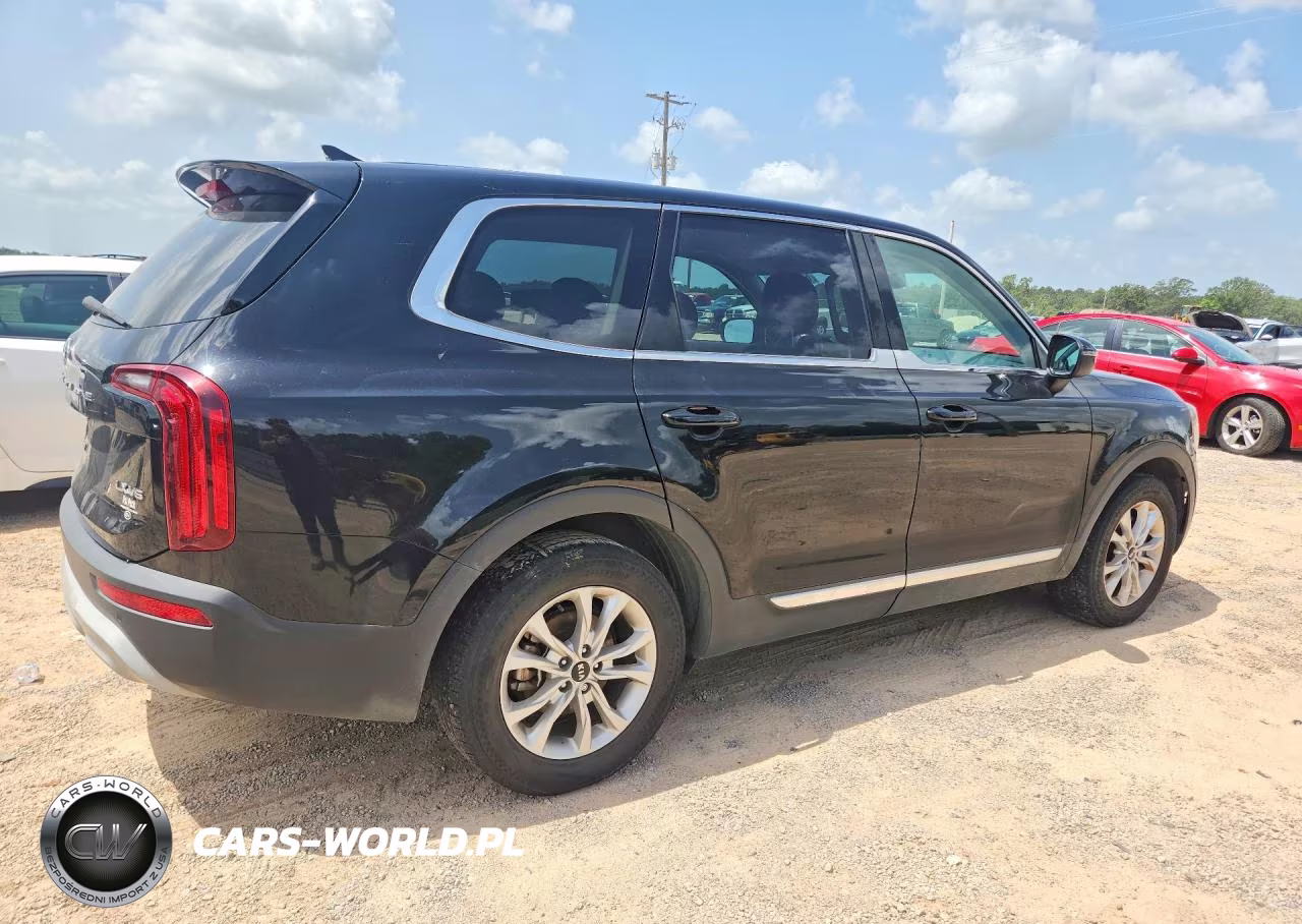 2020 Kia Telluride Lx VIN:5XYP24HC2LG011093 - 3