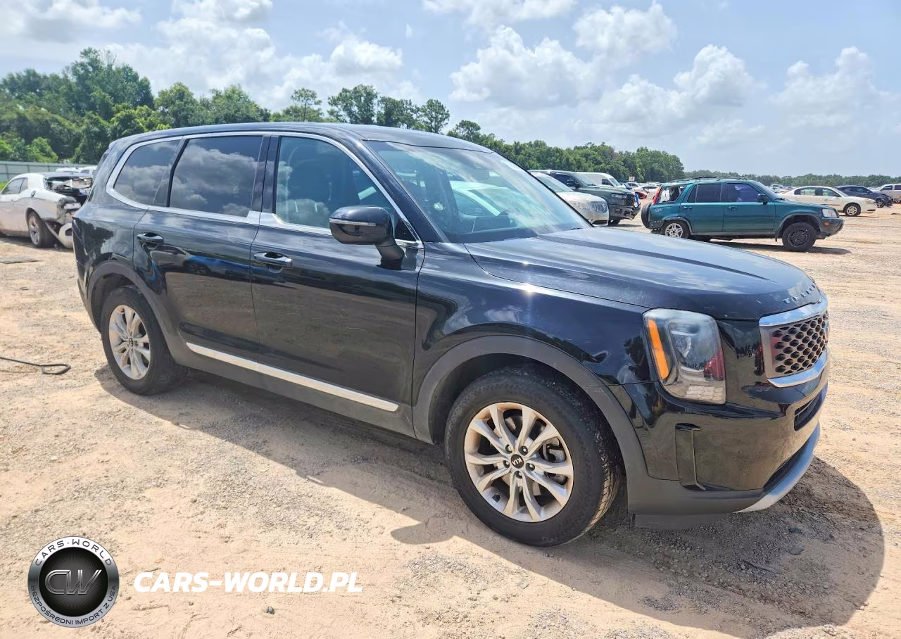 2020 Kia Telluride Lx VIN:5XYP24HC2LG011093 - 4