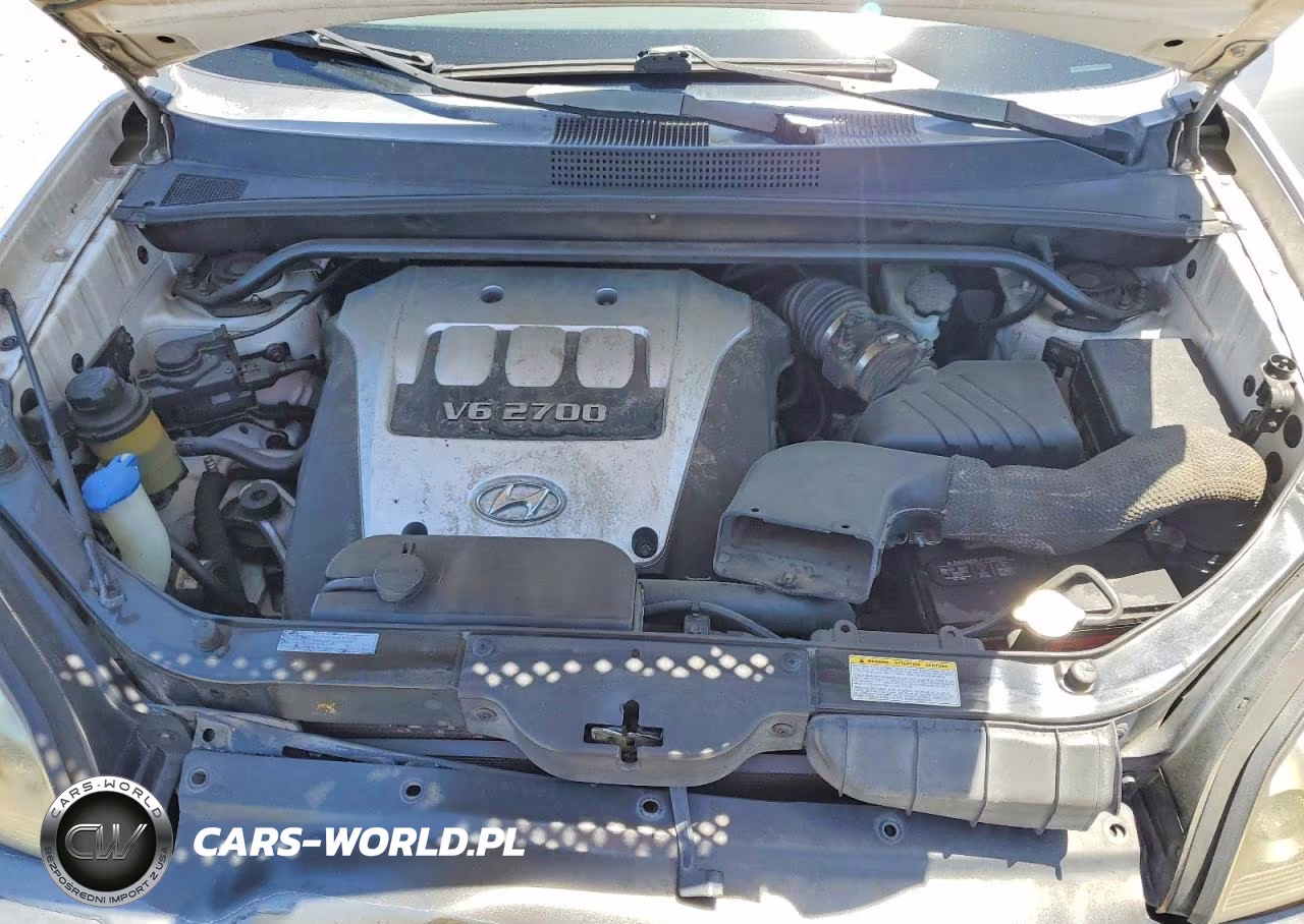 2005 Hyundai Tucson Gls VIN:KM8JN12D85U213303 - 11