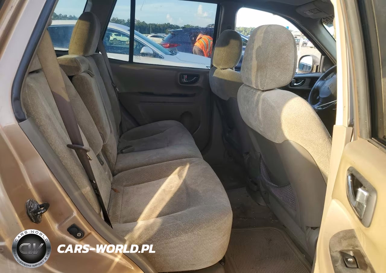 2004 Hyundai Santa Fe Gls VIN:KM8SC13D44U842807 - 10