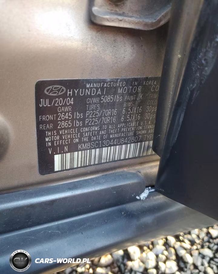 2004 Hyundai Santa Fe Gls VIN:KM8SC13D44U842807 - 12