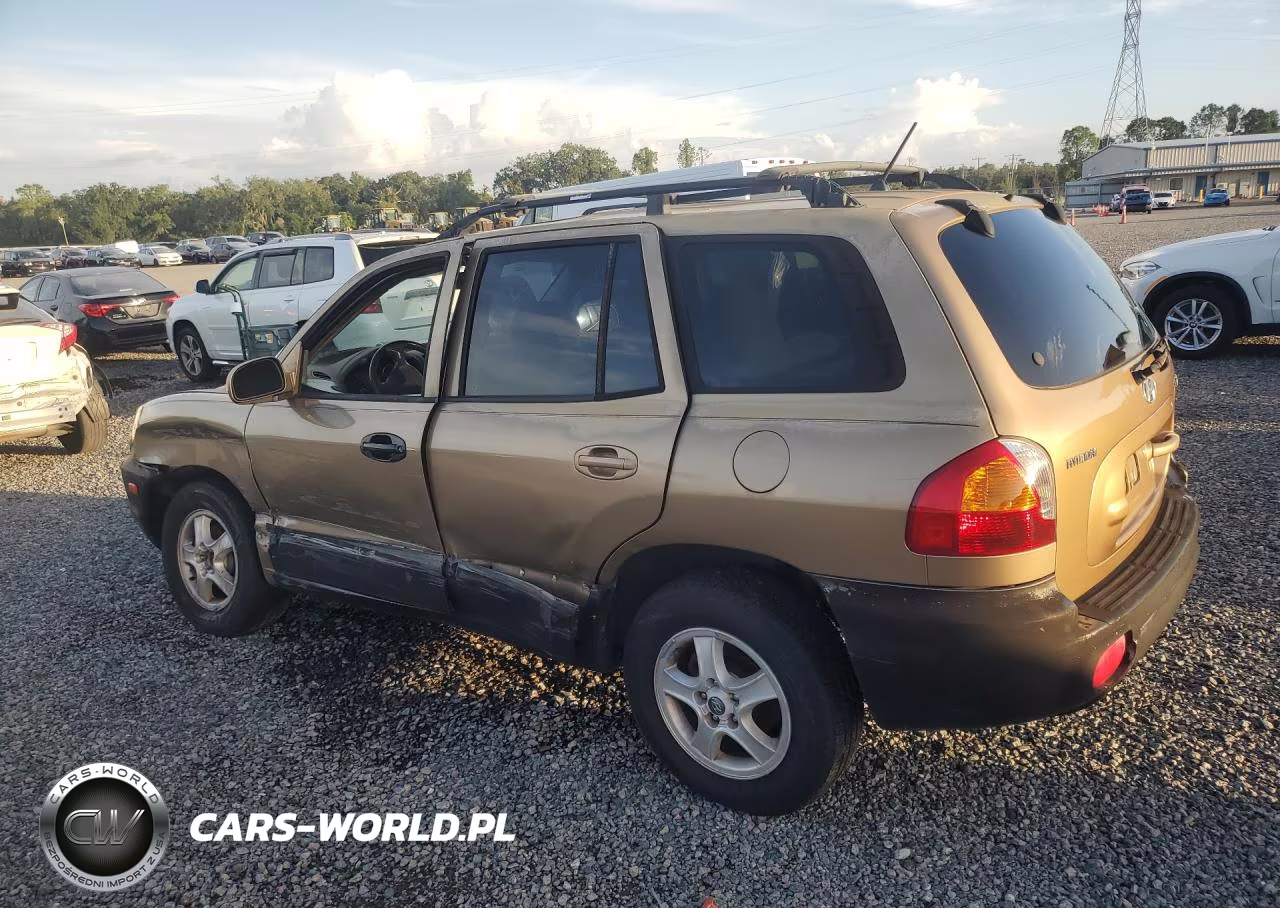 2004 Hyundai Santa Fe Gls VIN:KM8SC13D44U842807 - 2