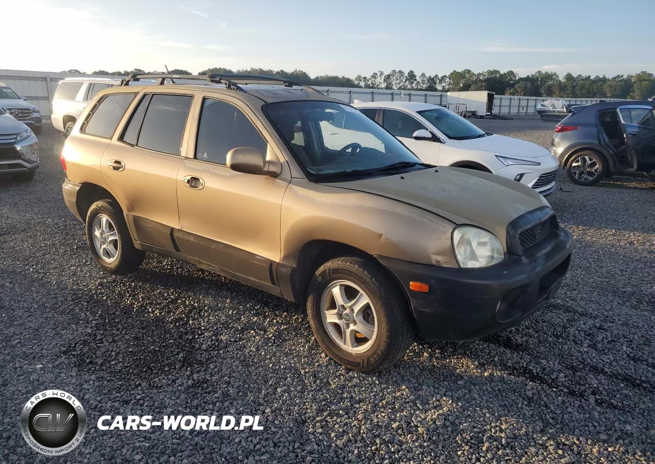 2004 Hyundai Santa Fe Gls VIN:KM8SC13D44U842807 - 4