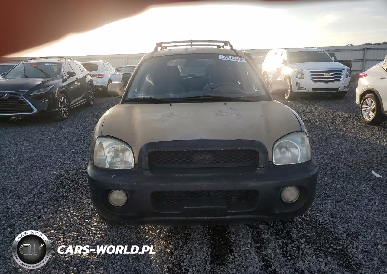 2004 Hyundai Santa Fe Gls VIN:KM8SC13D44U842807 - 5