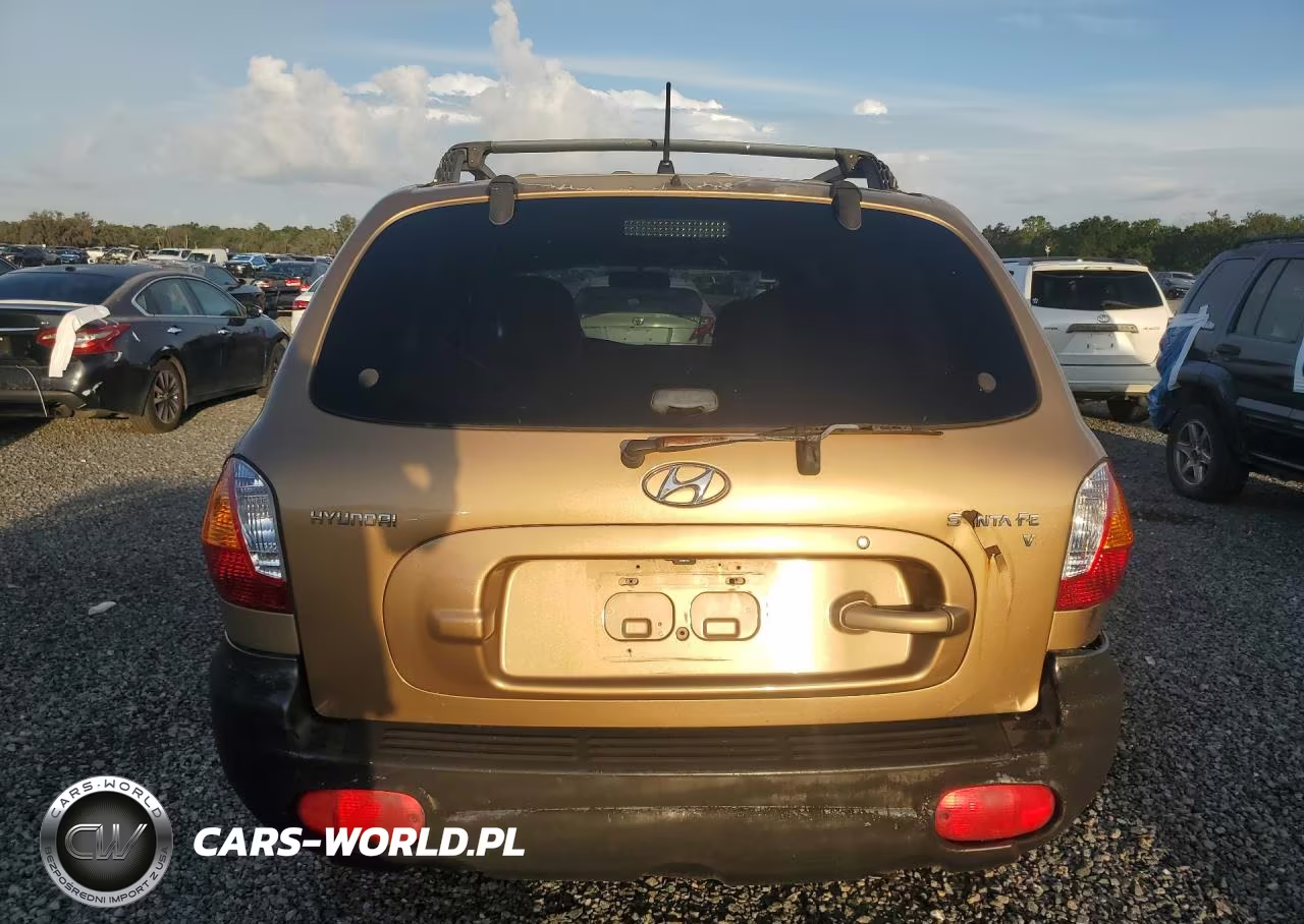2004 Hyundai Santa Fe Gls VIN:KM8SC13D44U842807 - 6