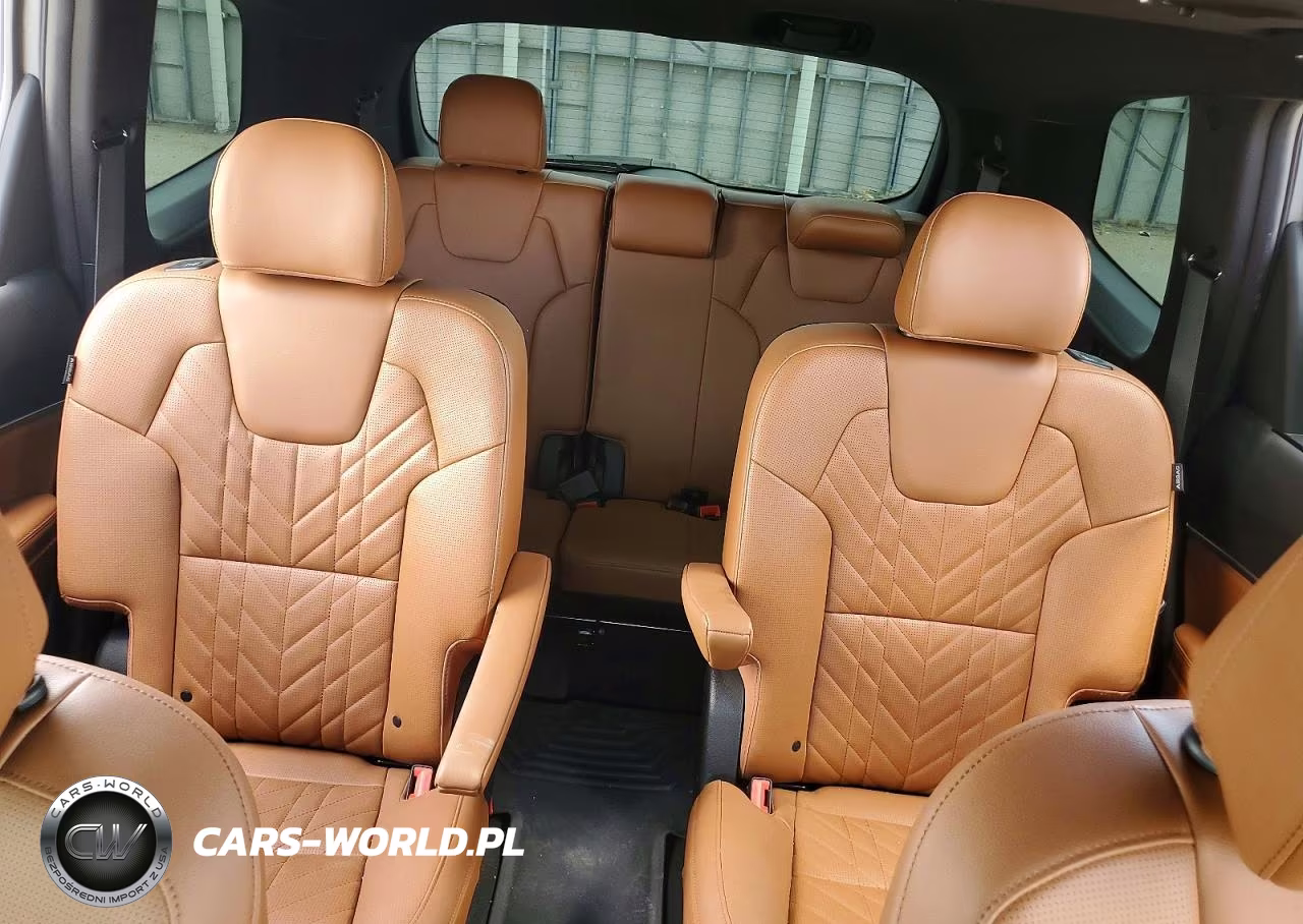 2024 Kia Telluride Ex X-Line VIN:5XYP3DGC9RG540094 - 10