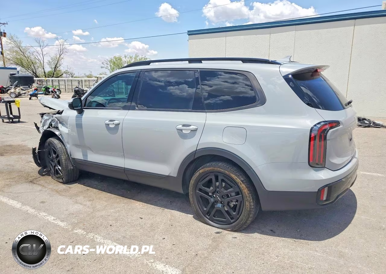 2024 Kia Telluride Ex X-Line VIN:5XYP3DGC9RG540094 - 2