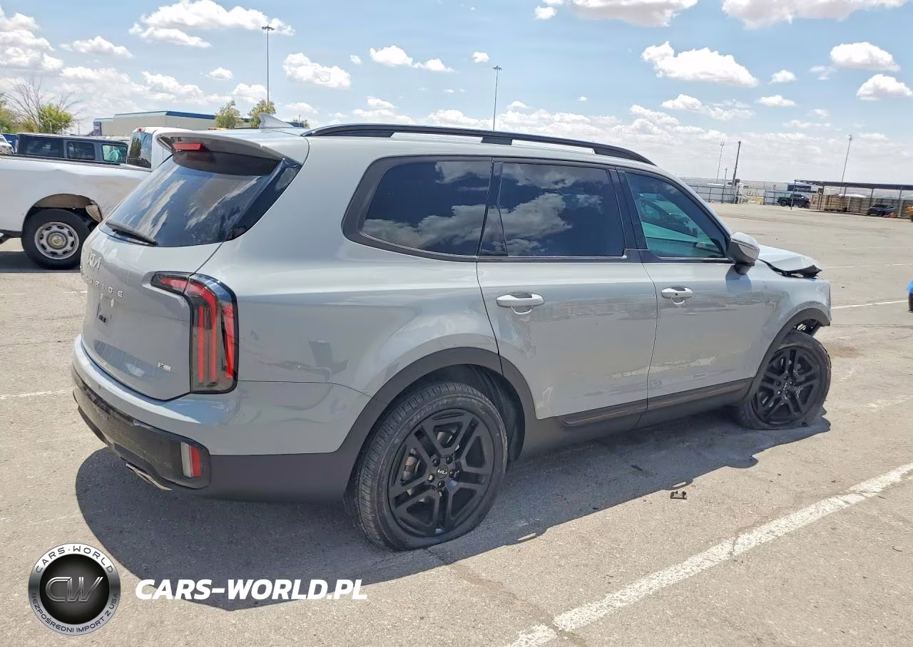2024 Kia Telluride Ex X-Line VIN:5XYP3DGC9RG540094 - 3