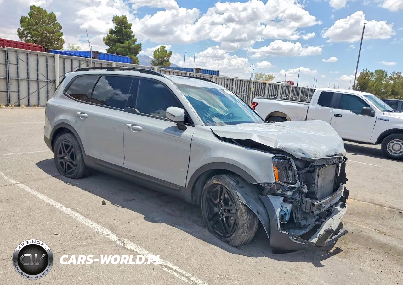 2024 Kia Telluride Ex X-Line VIN:5XYP3DGC9RG540094 - 4