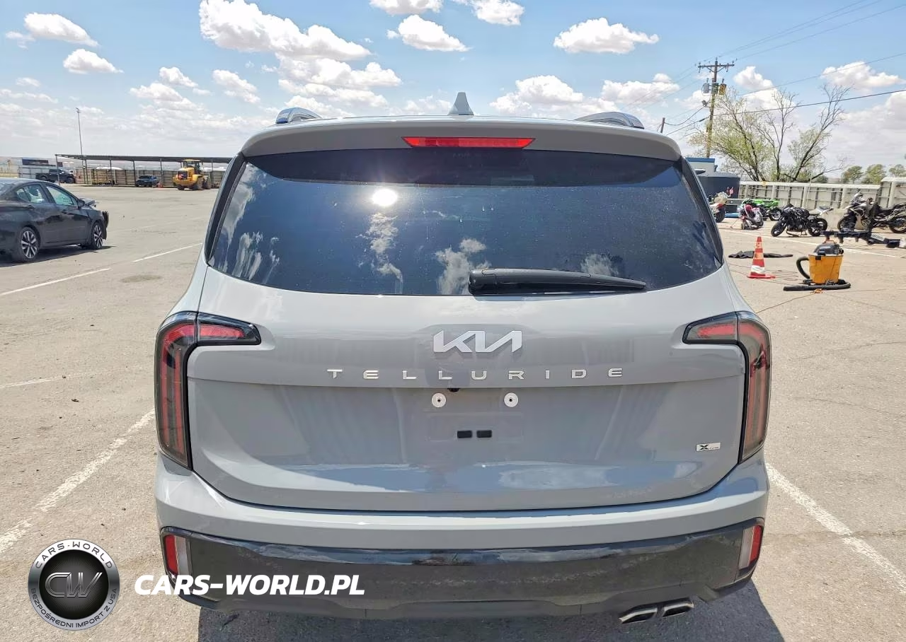 2024 Kia Telluride Ex X-Line VIN:5XYP3DGC9RG540094 - 6
