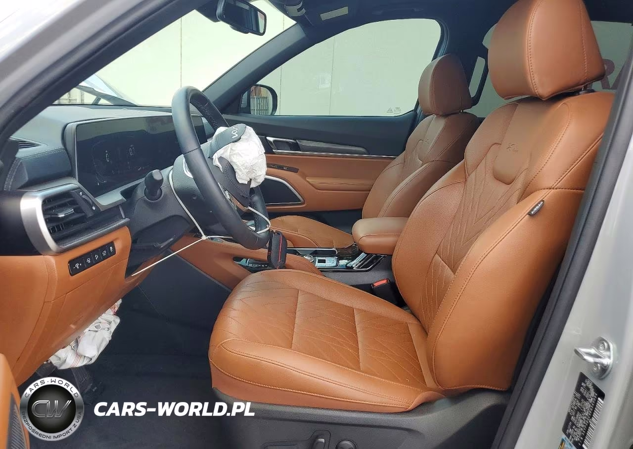 2024 Kia Telluride Ex X-Line VIN:5XYP3DGC9RG540094 - 7