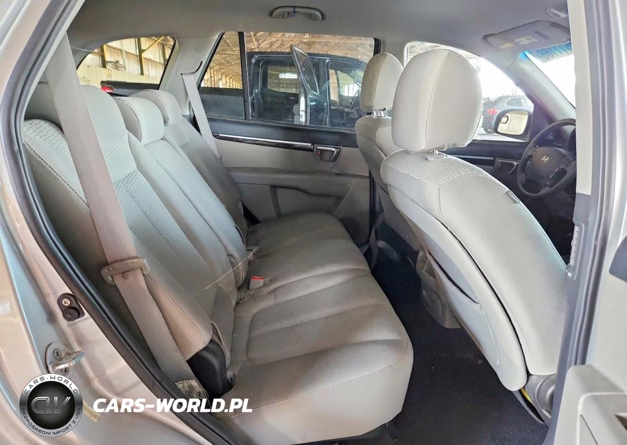 2009 Hyundai Santa Fe Gls VIN:5NMSG13D69H306710 - 11