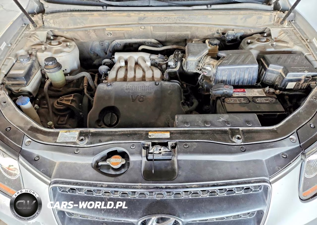 2009 Hyundai Santa Fe Gls VIN:5NMSG13D69H306710 - 12