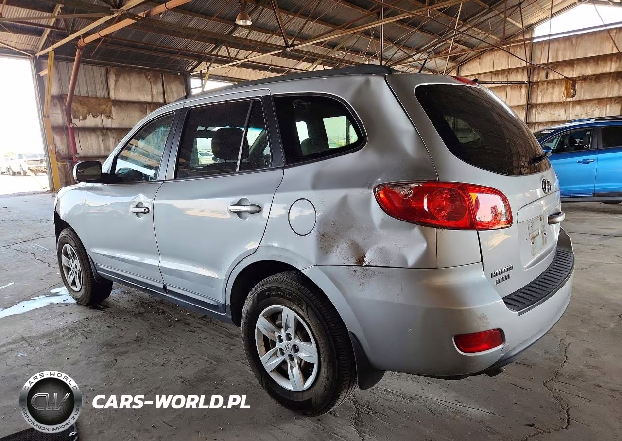 2009 Hyundai Santa Fe Gls VIN:5NMSG13D69H306710 - 2