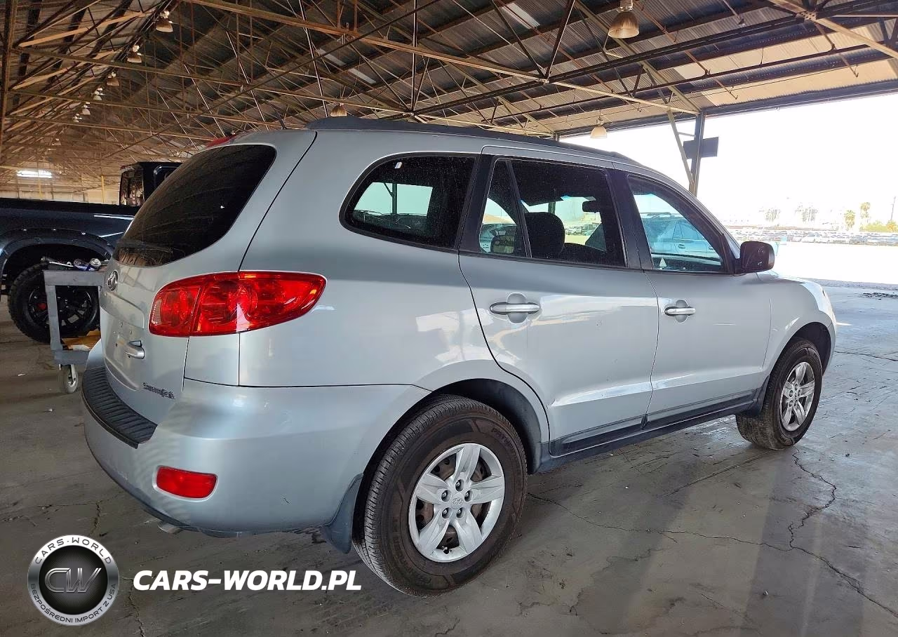 2009 Hyundai Santa Fe Gls VIN:5NMSG13D69H306710 - 3