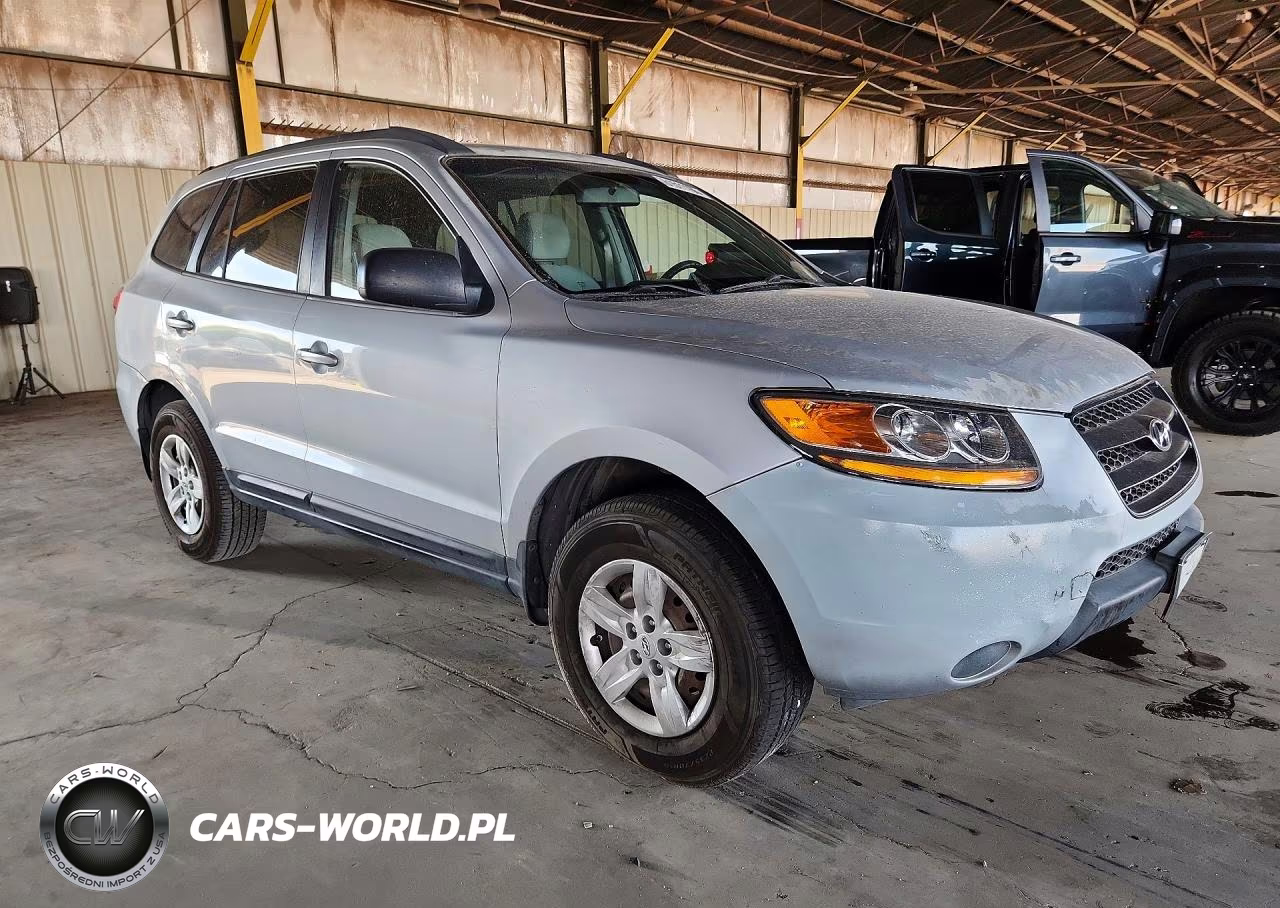 2009 Hyundai Santa Fe Gls VIN:5NMSG13D69H306710 - 4