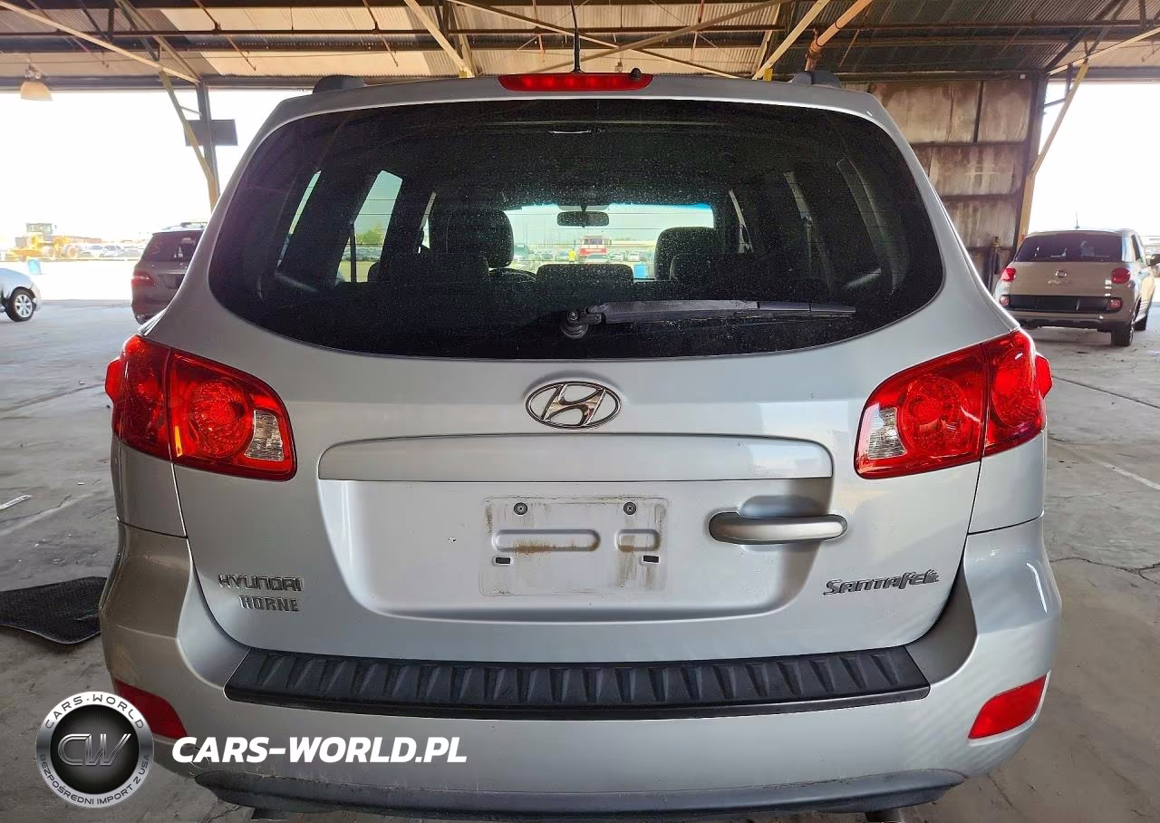 2009 Hyundai Santa Fe Gls VIN:5NMSG13D69H306710 - 6
