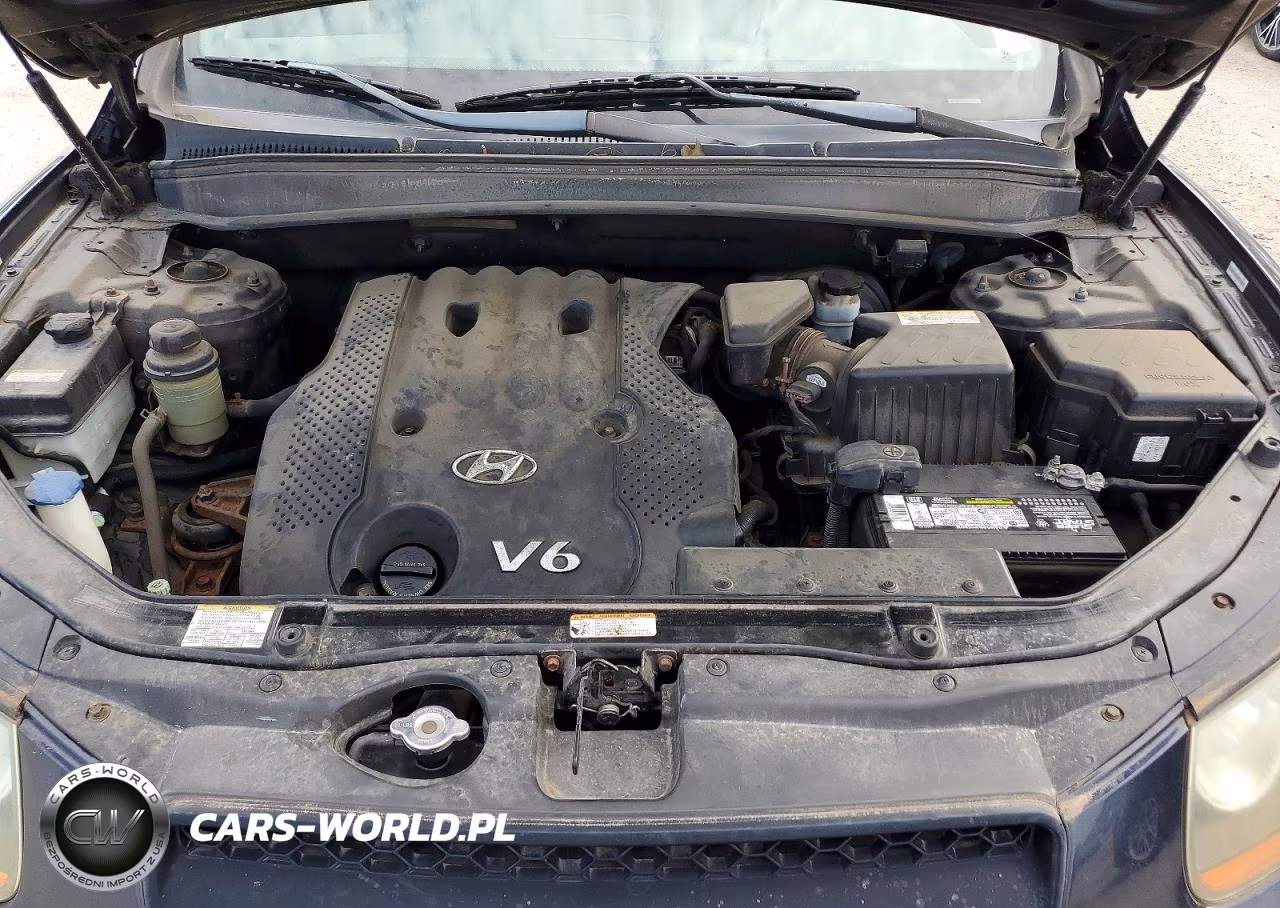 2008 Hyundai Santa Fe Gls VIN:5NMSG13D58H177180 - 11