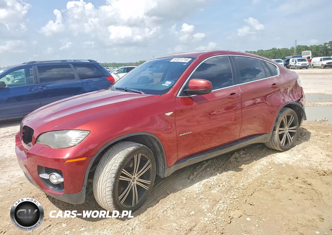 2009 BMW X6
