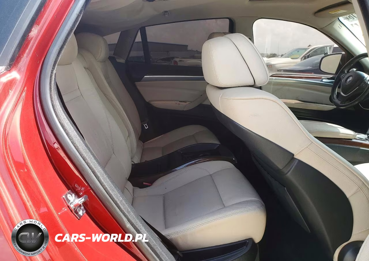 2009 BMW X6 VIN:5UXFG83509LZ93859 - 11