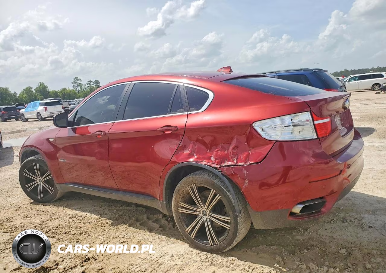 2009 BMW X6 VIN:5UXFG83509LZ93859 - 2