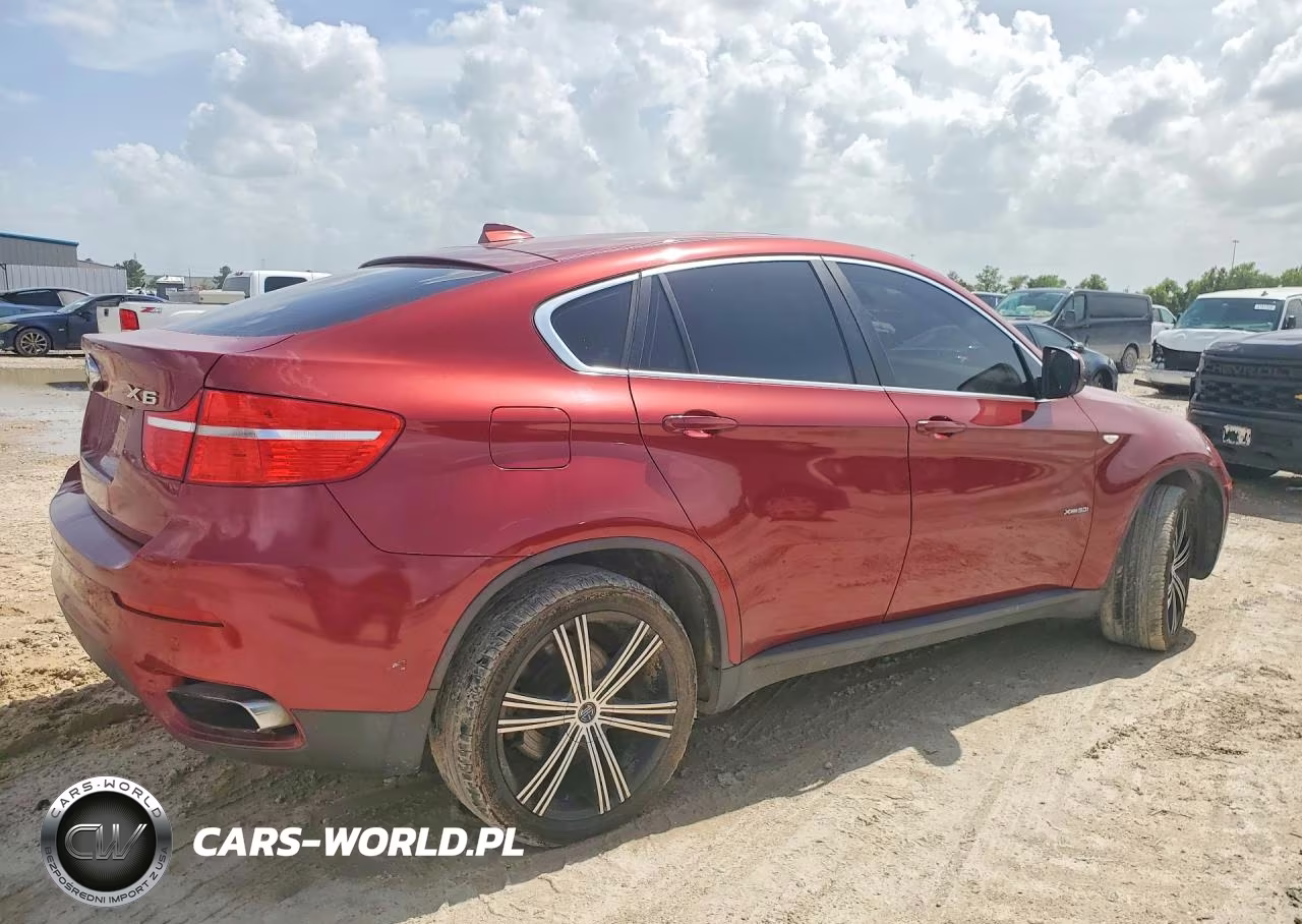 2009 BMW X6 VIN:5UXFG83509LZ93859 - 3