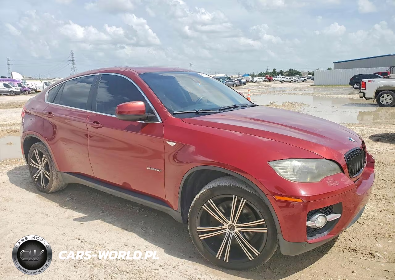 2009 BMW X6 VIN:5UXFG83509LZ93859 - 4