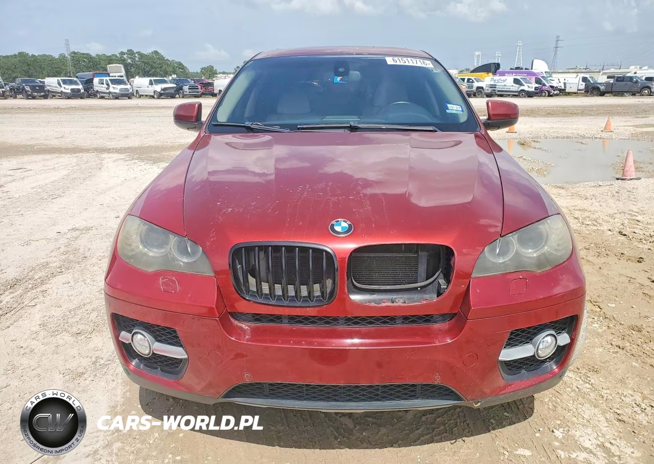 2009 BMW X6 VIN:5UXFG83509LZ93859 - 5