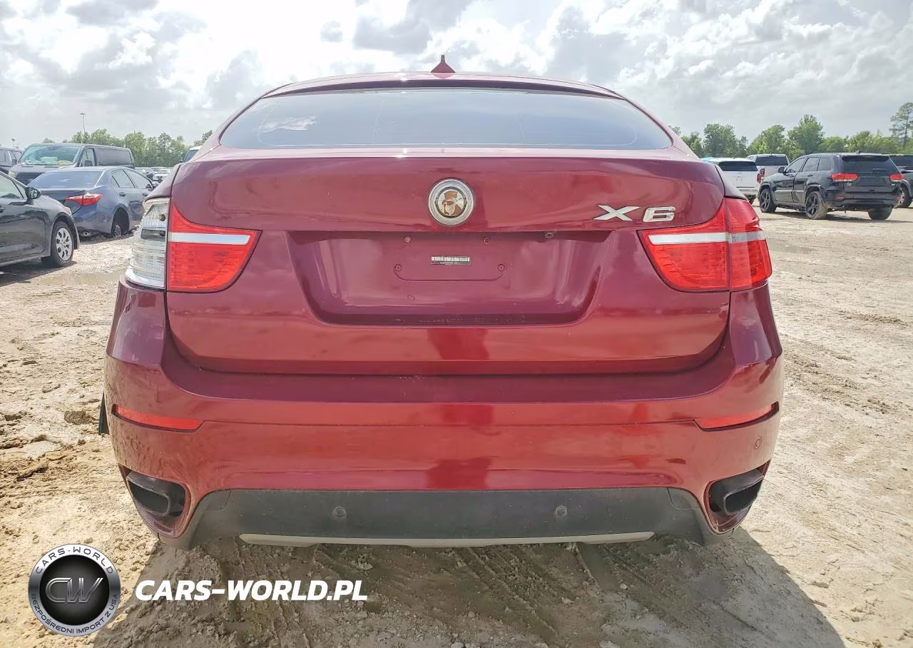 2009 BMW X6 VIN:5UXFG83509LZ93859 - 6