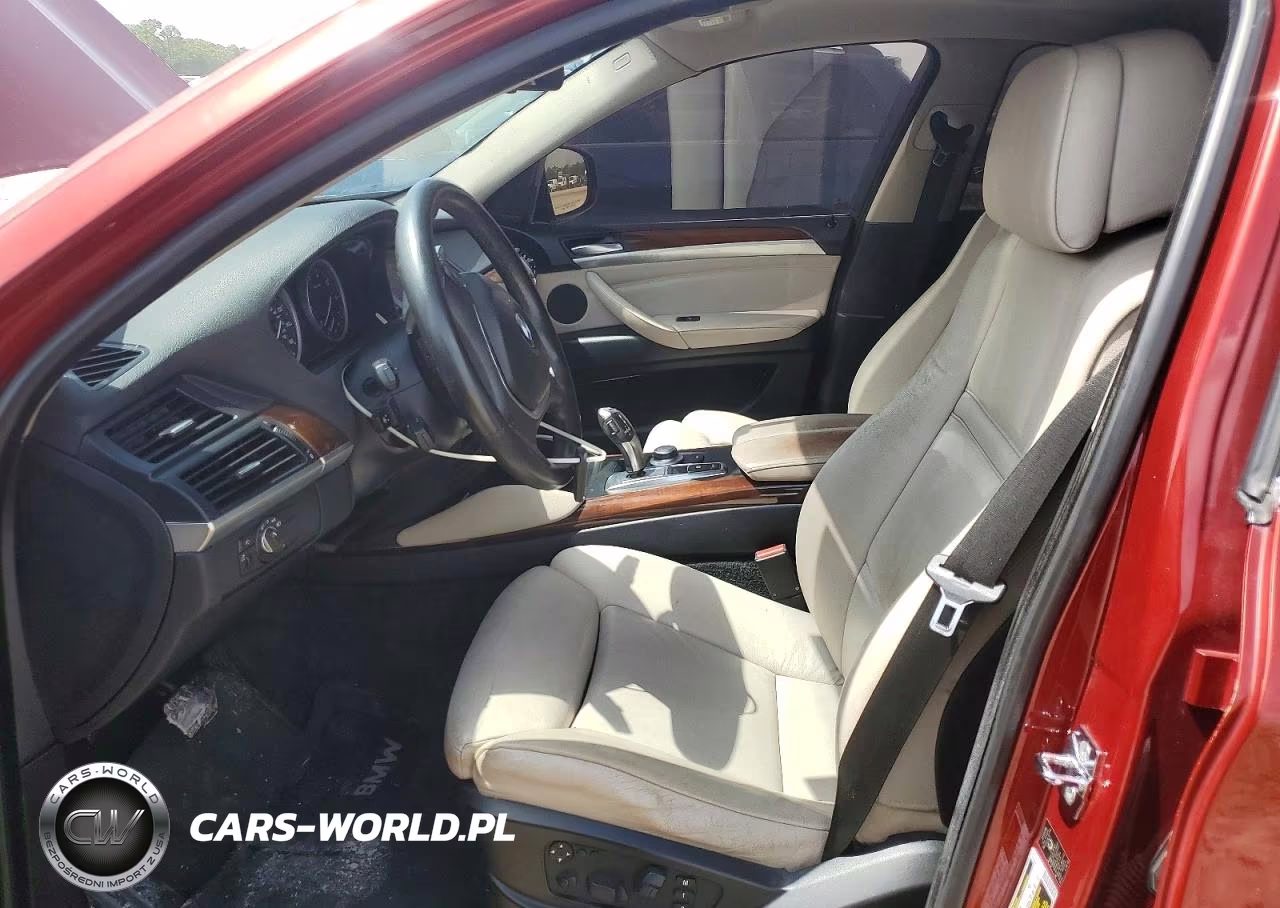 2009 BMW X6 VIN:5UXFG83509LZ93859 - 7