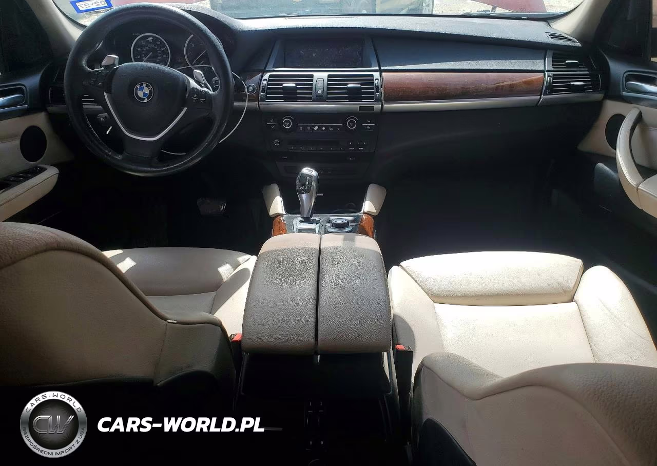 2009 BMW X6 VIN:5UXFG83509LZ93859 - 8