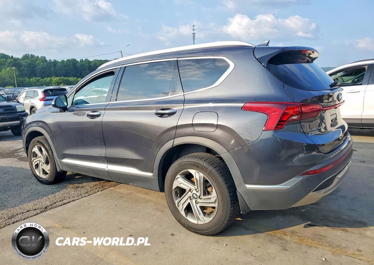 2022 Hyundai Santa Fe Sel VIN:5NMS6DAJXNH379490 - 2