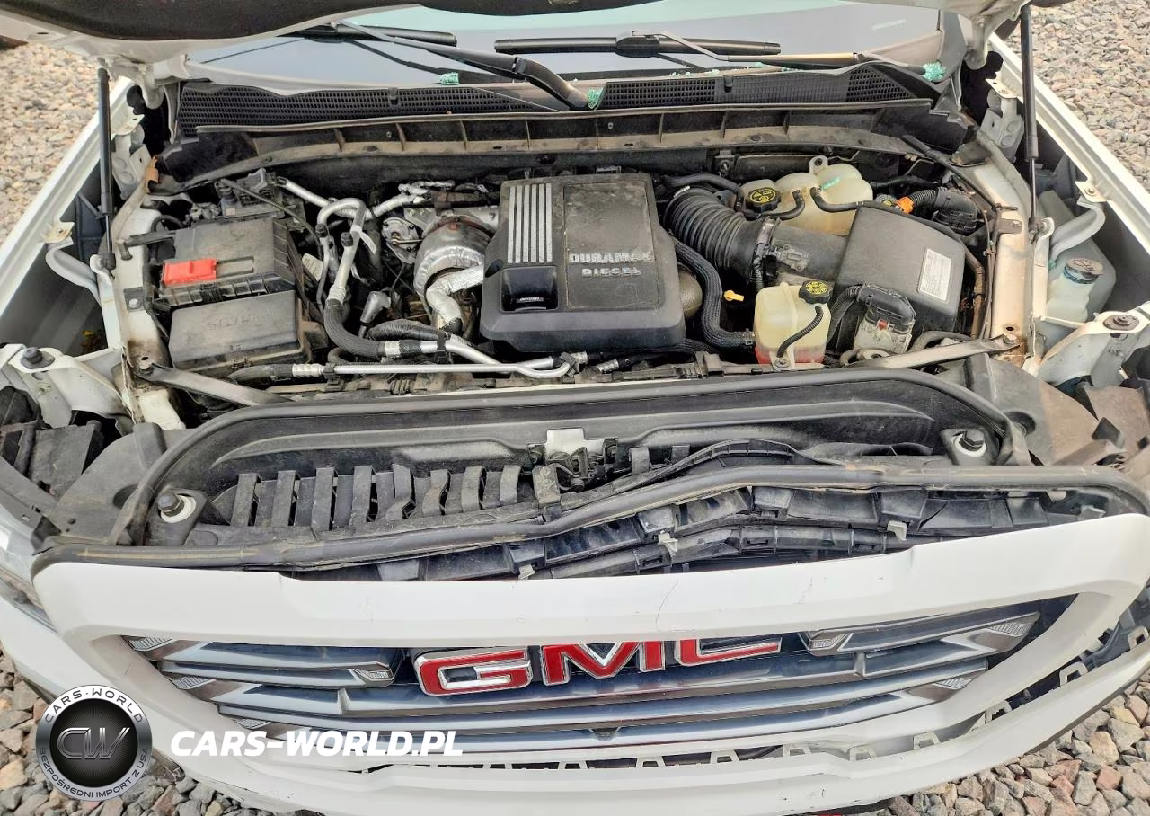 2020 GMC Sierra K1500 At4 VIN:1GTU9EET0LZ244545 - 11