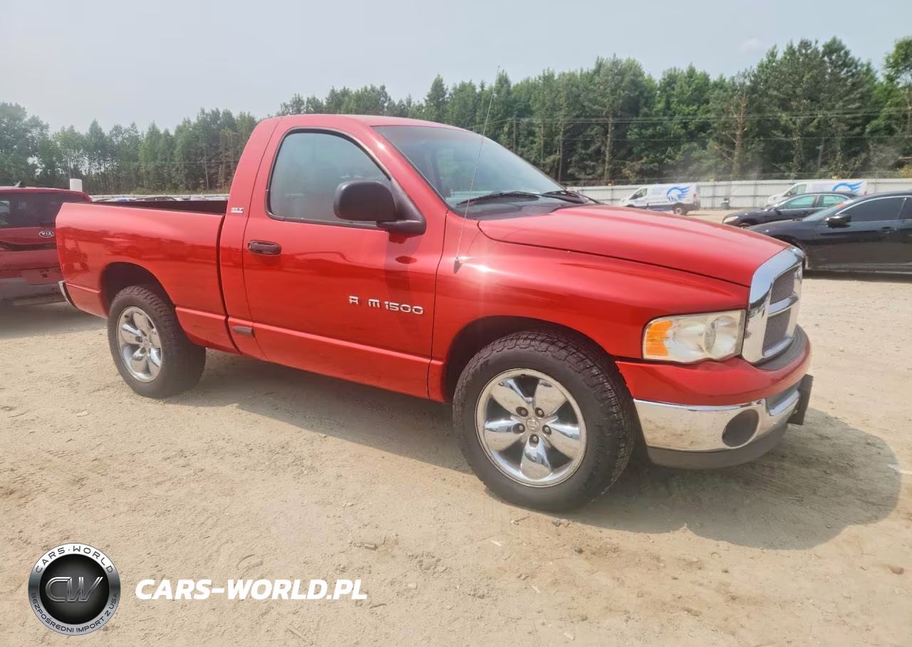 2002 Dodge Ram 1500 VIN:1D7HA16N32J145593 - 4