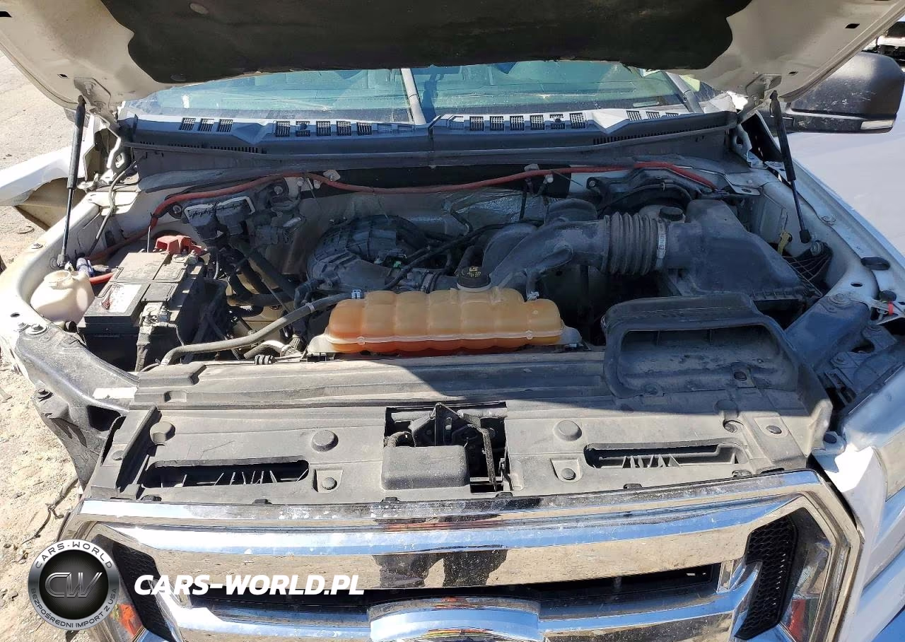 2017 Ford F150 Supercrew VIN:1FTEW1E8XHKC66568 - 11