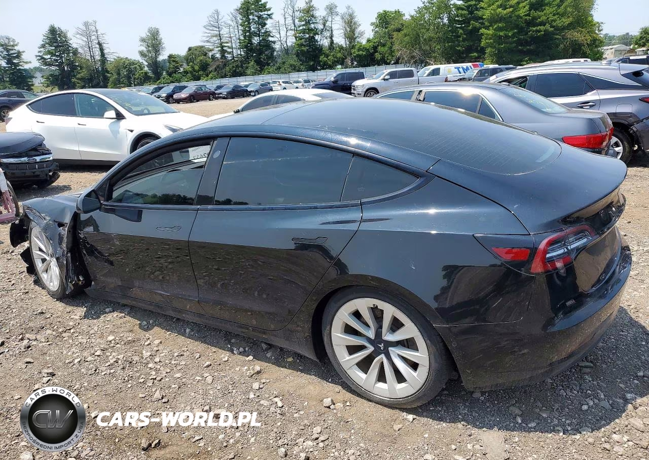 2021 Tesl Model 3 VIN:5YJ3E1EA2MF856560 - 2