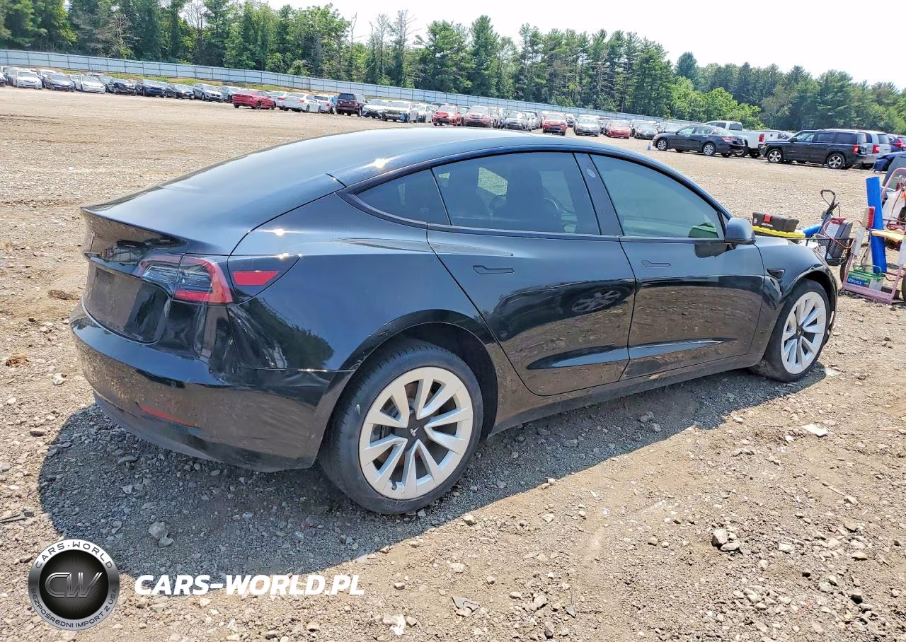 2021 Tesl Model 3 VIN:5YJ3E1EA2MF856560 - 3
