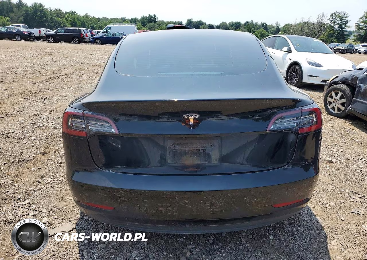 2021 Tesl Model 3 VIN:5YJ3E1EA2MF856560 - 6