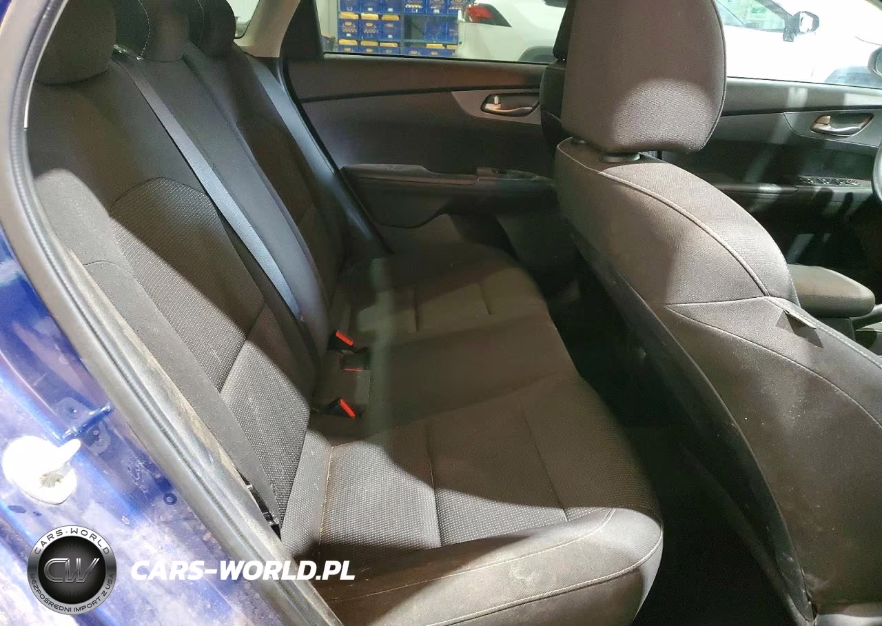 2020 Kia Forte Lxs VIN:3KPF24AD5LE248219 - 10