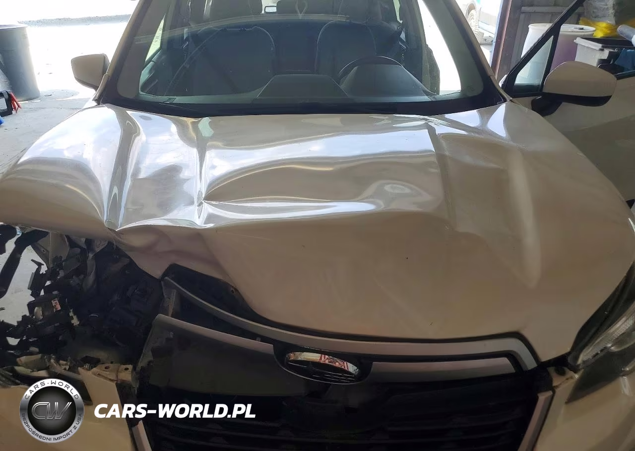2019 Subaru Forester Premium VIN:JF2SKAEC4KH465060 - 11
