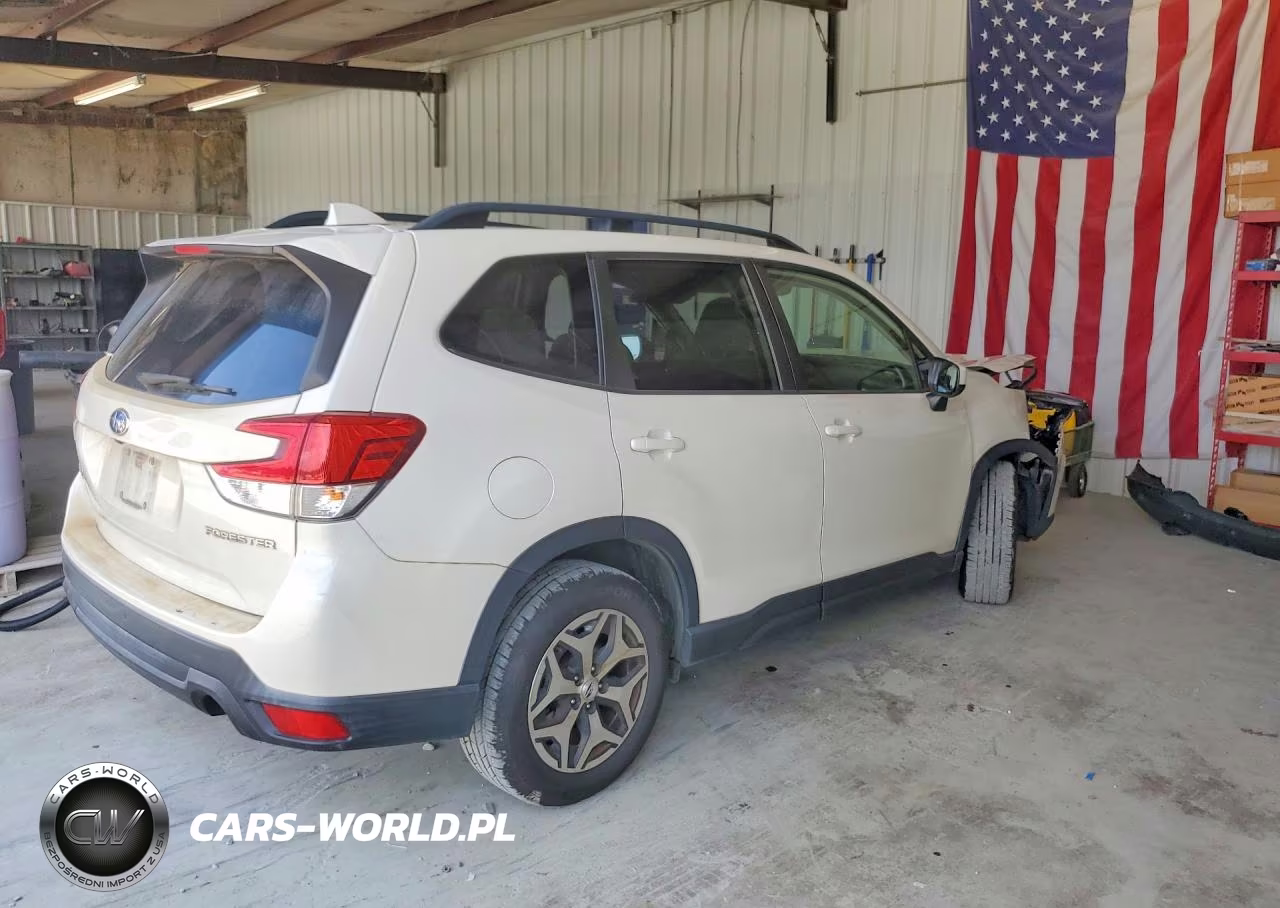 2019 Subaru Forester Premium VIN:JF2SKAEC4KH465060 - 3