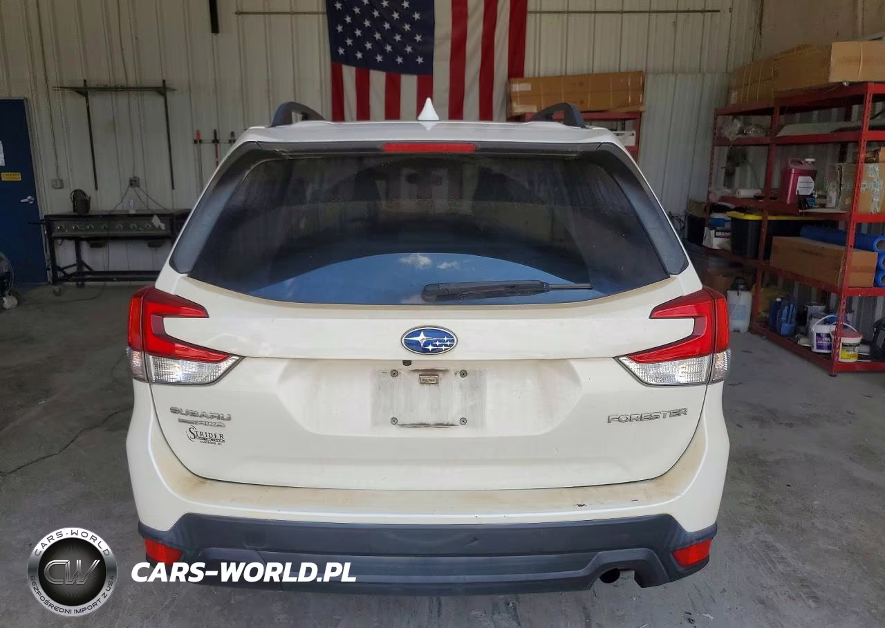 2019 Subaru Forester Premium VIN:JF2SKAEC4KH465060 - 6