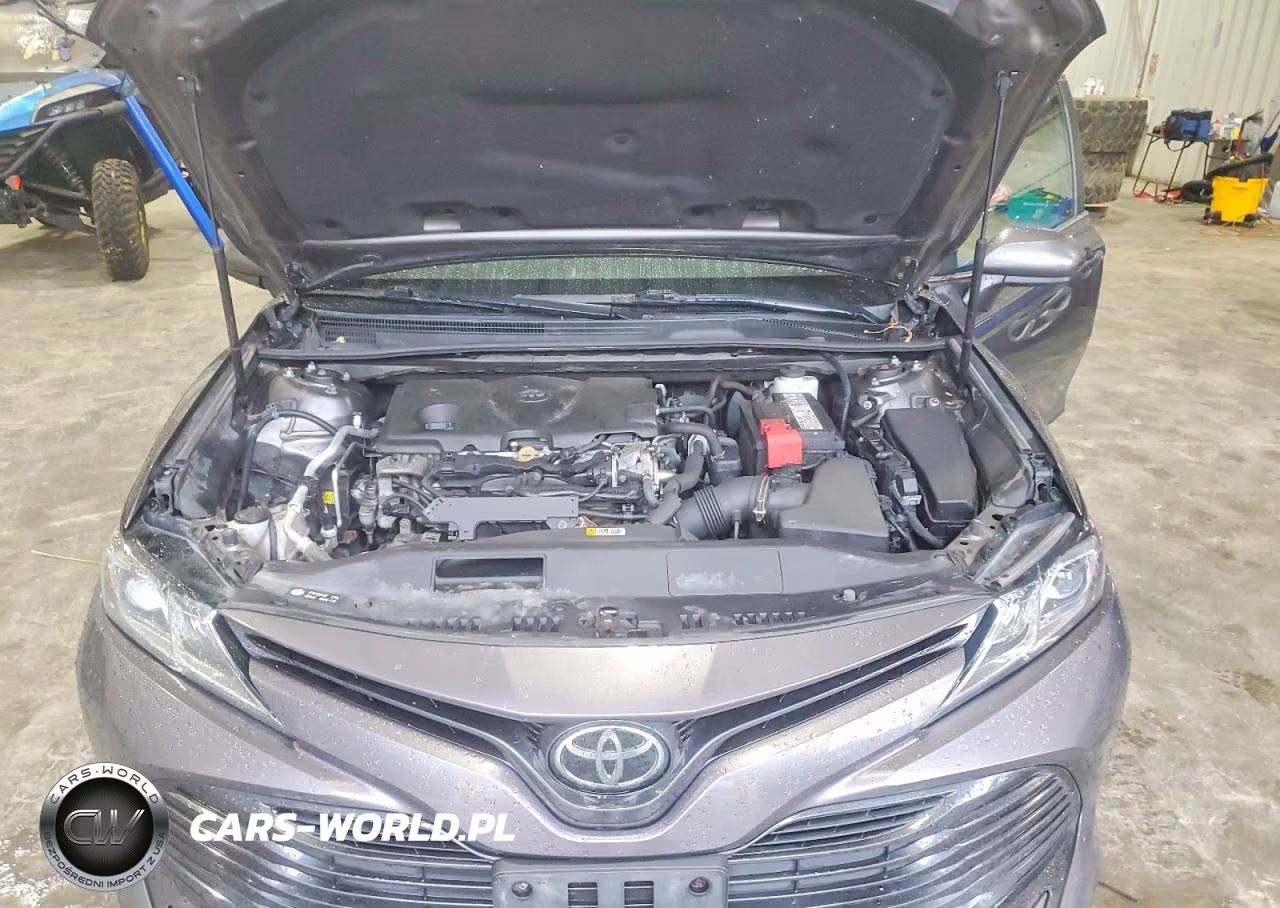 2019 Toyota Camry Le VIN:4T1B11HK0KU799965 - 11