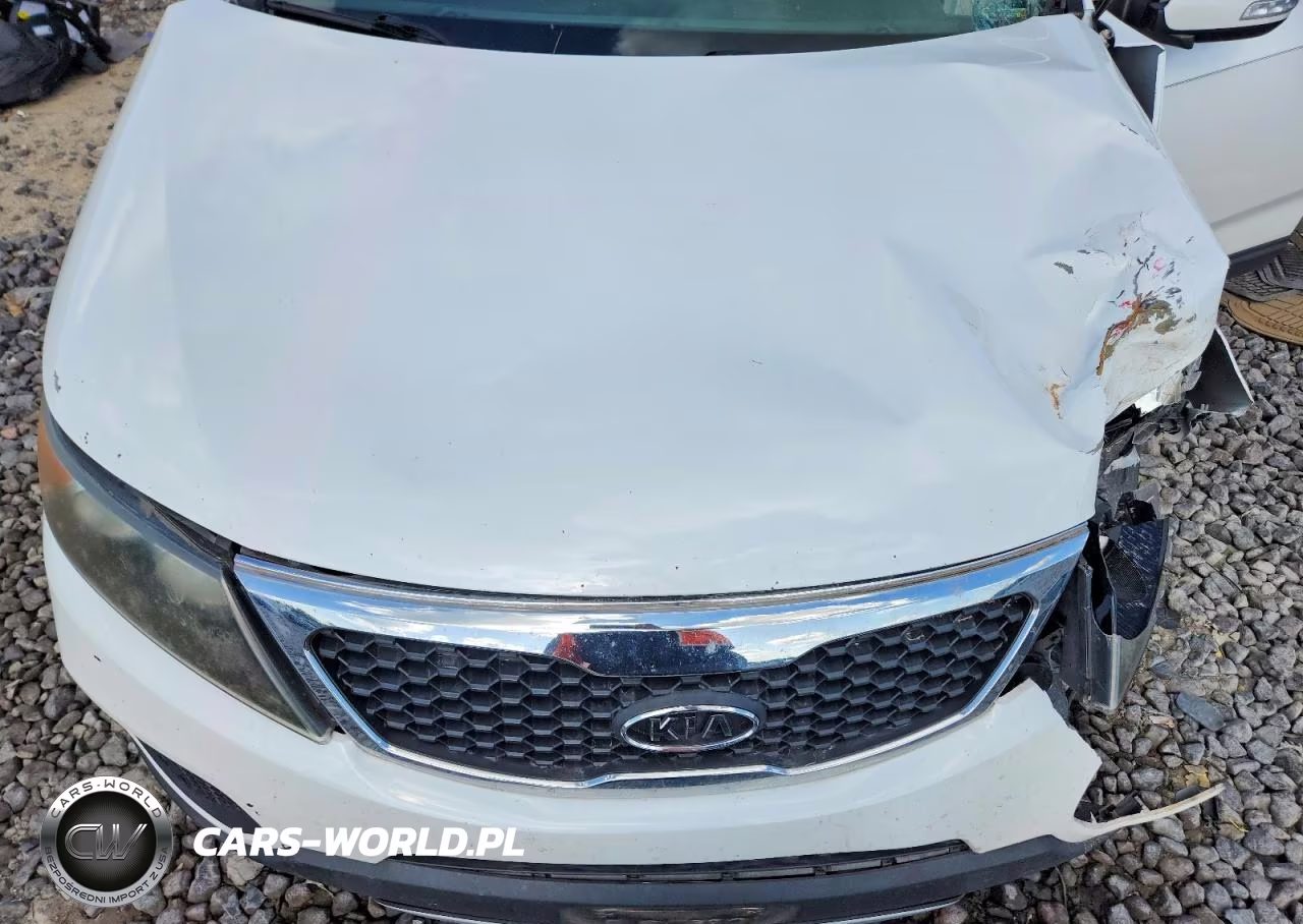2011 Kia Sorento Lx VIN:5XYKT3A1XBG045565 - 11